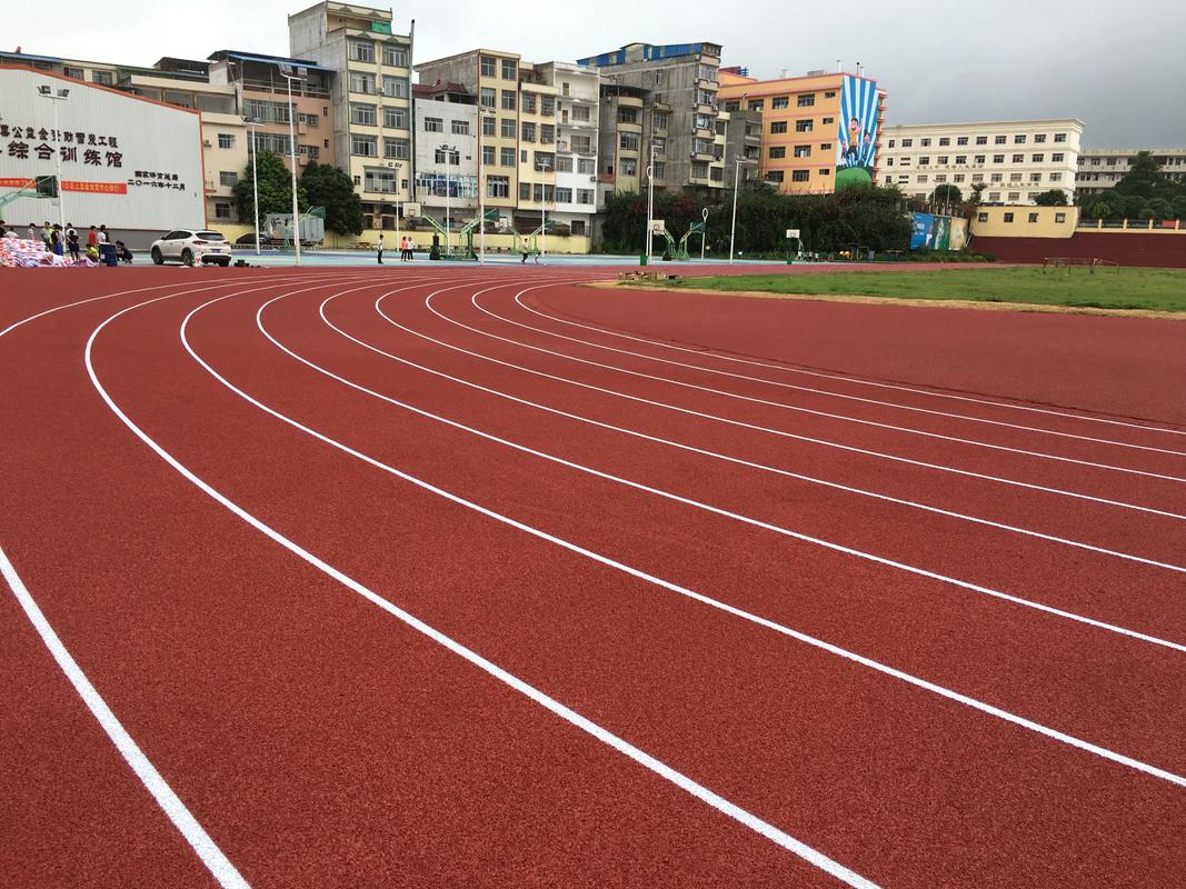 海东市塑胶篮球场塑胶跑道材料 - 厂家